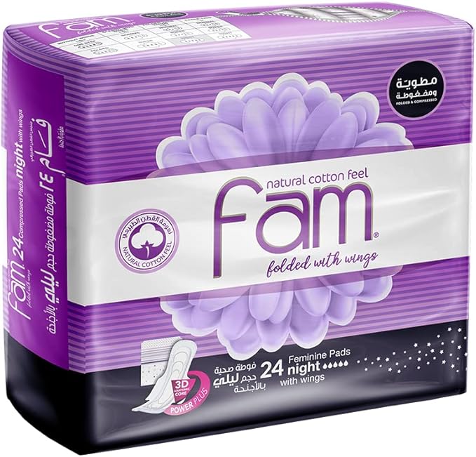 Fam Folded with Wings Night - 24 Pads (8pack/ctn)