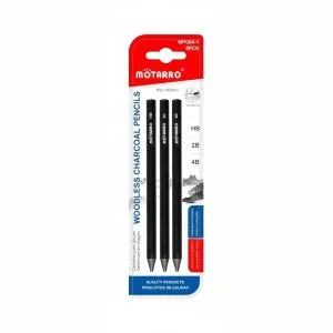 MOTARRO Woodless Charcoal Pencil Set MP004-1 – 3 Pieces (HB, 2B, 4B), 14.5 cm Artist Drawing Pencils