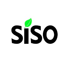 Siso